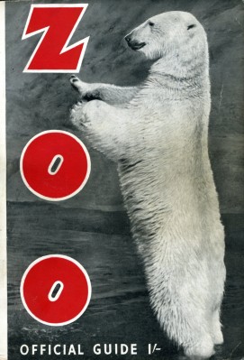 00068.jpg